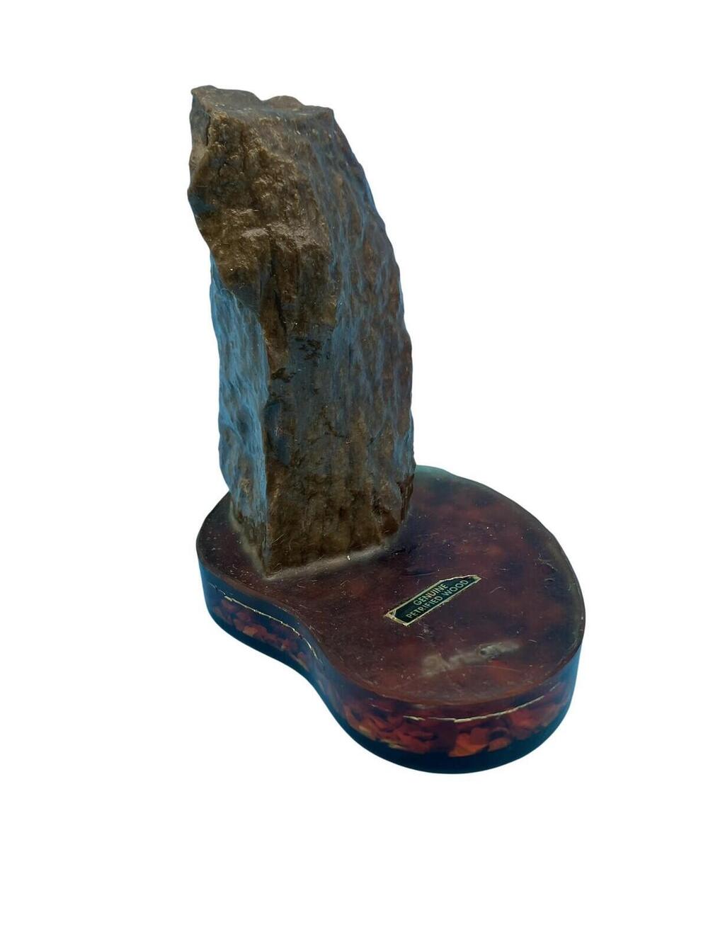 Vintage Arizona Petrified Wood Souvenir Specimen Resin Base Brown Red Decor